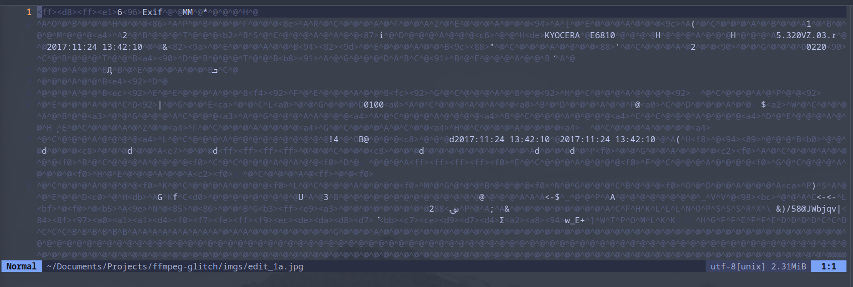 raw binary view